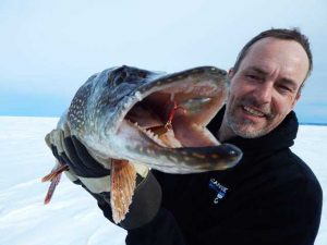 brochet-peche-blanche-glace-cabane-louer-pourvoirie-ouananiche Gros brochet avec pêche blanche lac saint jean de 15 livres , pêche sur glace en hiver au brochet avec les guides de pêche blanche et location de cabane à pêche à Roberval en motoneige