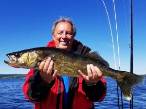 gros-dore-remis-a-leau-reglementation-lacstjean remise à l'eau d'un gros doré jaune sur le lac st jean en suivant la réglementation en vigueur avec le guide charles dufour de aventure lac saint jean