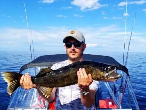 ouverture-doré-lacstjean-peche-dore-technique Gros doré 10 livres sur le lac saint jean avec les techniques de guide de pêche charles dufour jig et bateau skeeter wx2060 moteur yamaha 250 downrigger cannon moteur minnkota et garmin panoptix. doré remise a l'eau reglementation bonne pratique