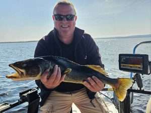 gros-doré-lac-st-jean-pêche-bateau-canne-leurre-sonar Voici un beau gros doré jaune capturé sur le lac st jean accompagné d'un guide de pêche de aventure lac saint jean. Ce gros doré jaune a été capturé avec du matériel de pêche okuma et des leurres nxs. Il a été capturé en direct sur le sonar garmin livescope assisté du guide e pêche charles dufour