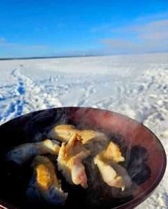 repas-doré-poisson-recette-shore-lunch-cabane bon repas de soré fraichement cuisiner par le guide de pêche charles dufour dans la cabane à pêche il fait plaisir au guide de cuisiner du poisson fraichement attraper par les clients petite recette de doré jaune dans le beurre facile et simple dans la poêle